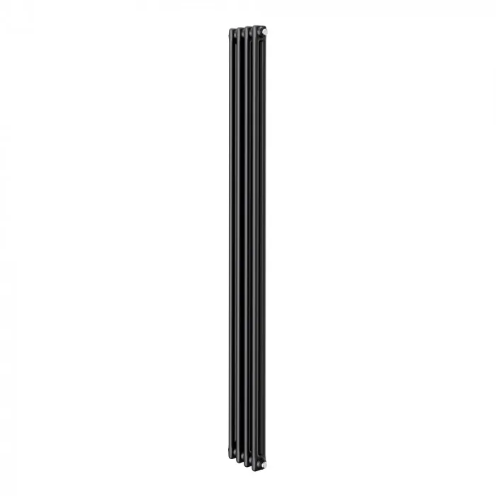 Дизайн-радиатор Royal Thermo Insignia C2180 - 04 секции RAL9005 matt, фото 1